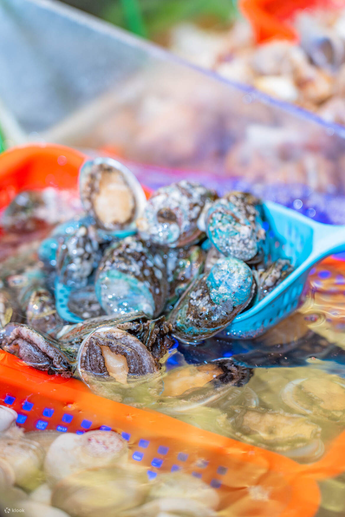【酒店餐飲】深圳溫德姆至尊酒店優惠券| 自助餐券 下午茶 鐵板料理 美式簡餐 燒烤